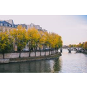 Automne : berges de la Seine